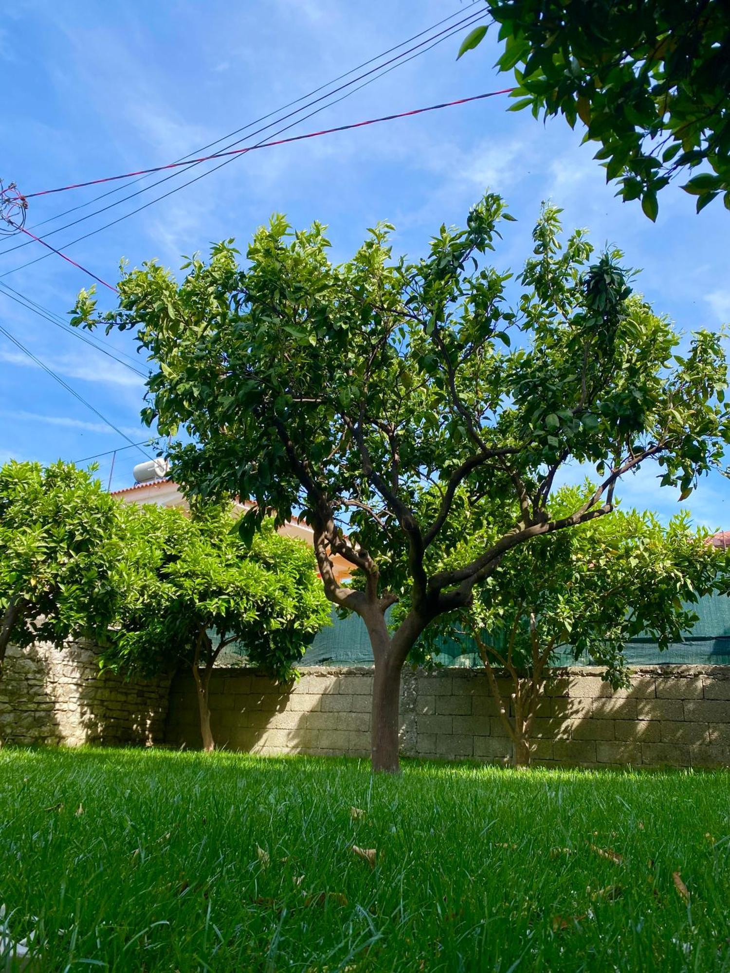 Villa Μπεράτ Εξωτερικό φωτογραφία